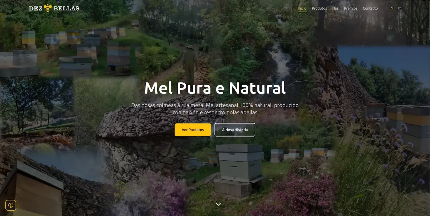 Proyecto web Dezabellas - Agencia a2bits